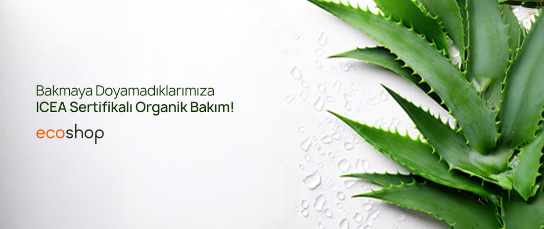 Bakmaya Doyamadıklarııza ICEA Sertifikalı Organik Bakım!
